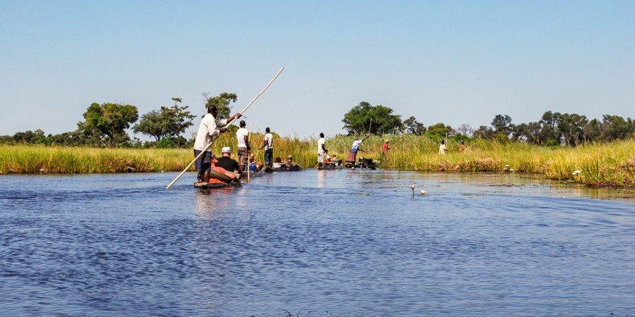 Navigando sull' Okavango